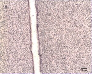 micrografía conexión median Elpa Tubo